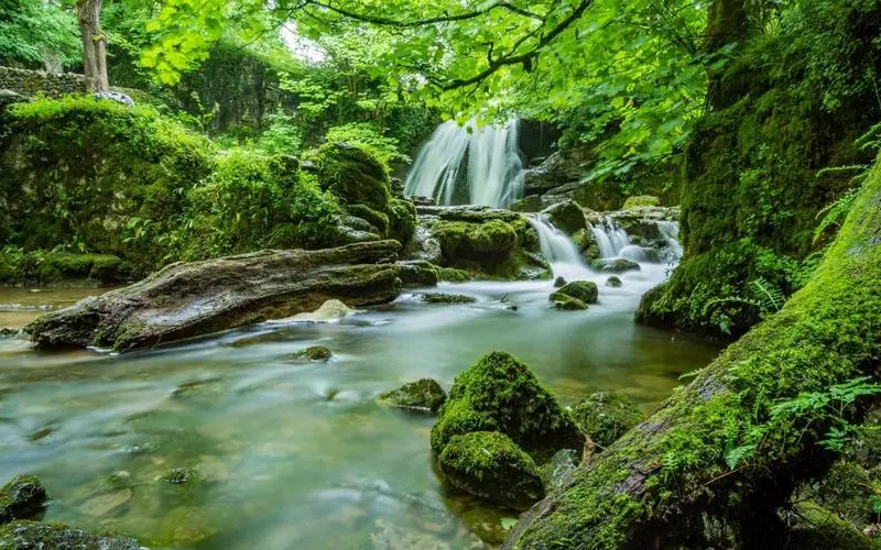 稳定性节能高效